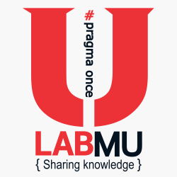 labmu's Avatar